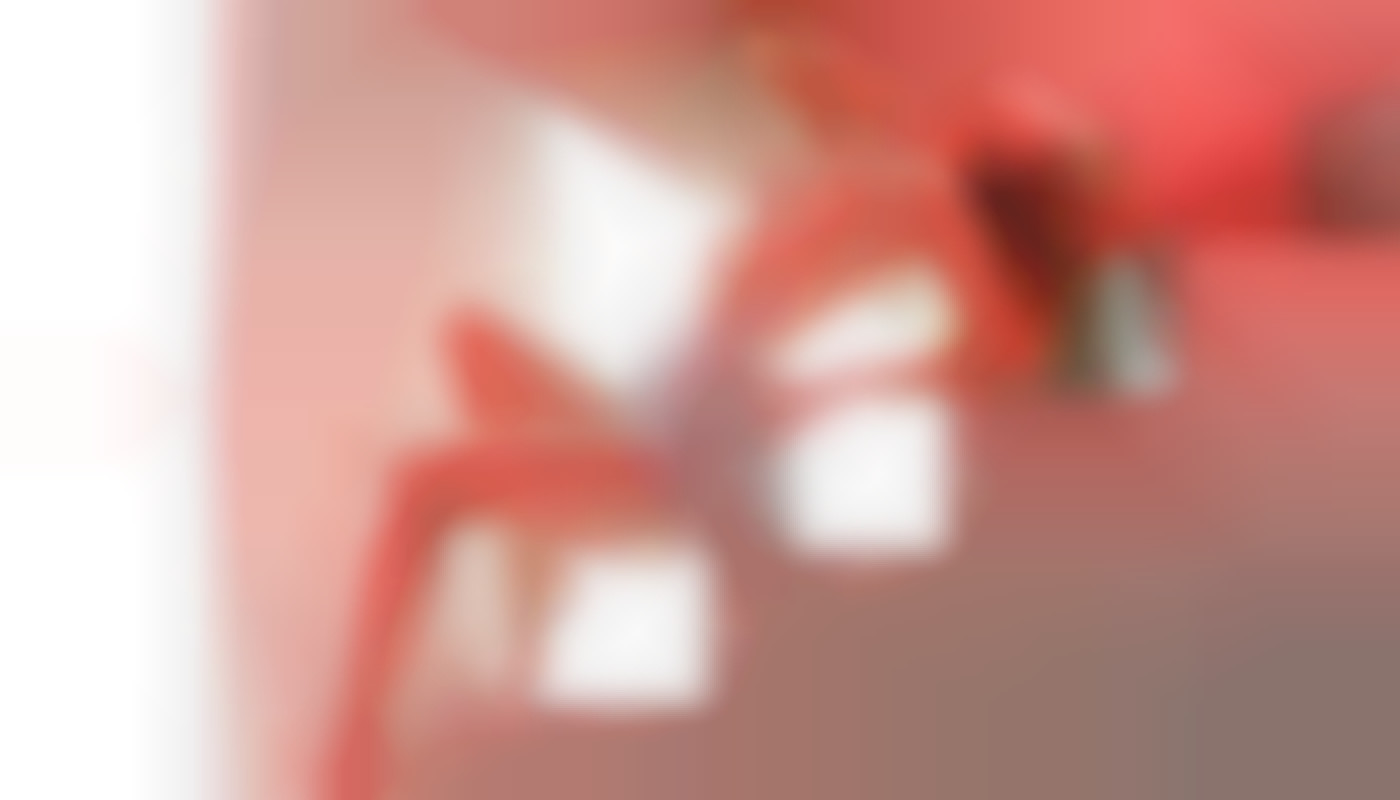 Exploration de la confidentialité et du respect dans les services téléphoniques pour adultes